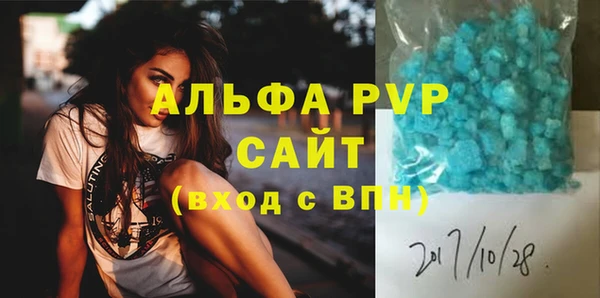 стаф Богданович