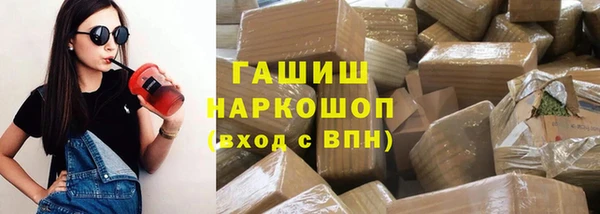 стаф Богданович