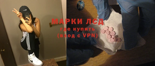 стаф Богданович