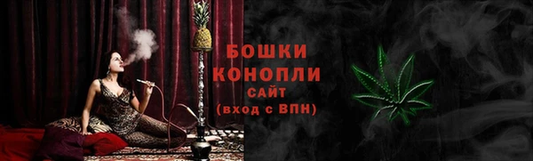 стаф Богданович