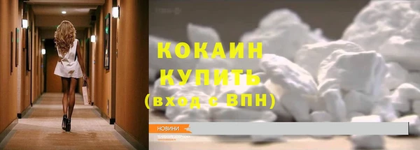 прущие грибы Белоозёрский