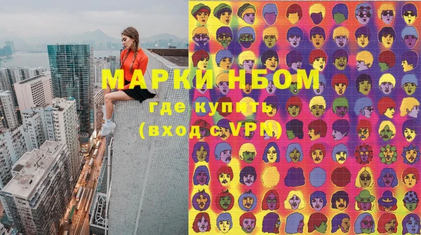 стаф Богданович