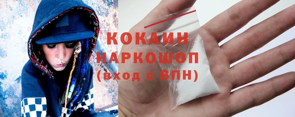 стаф Богданович