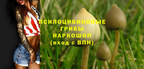 прущие грибы Белоозёрский