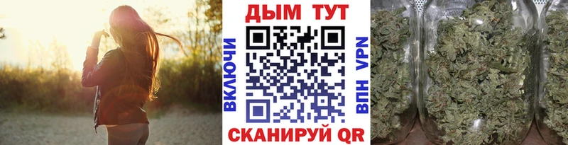 Каннабис OG Kush Волчанск